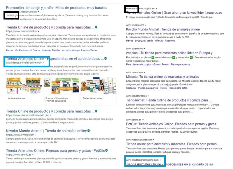 Bing tiene más en cuenta el nombre de dominio exacto